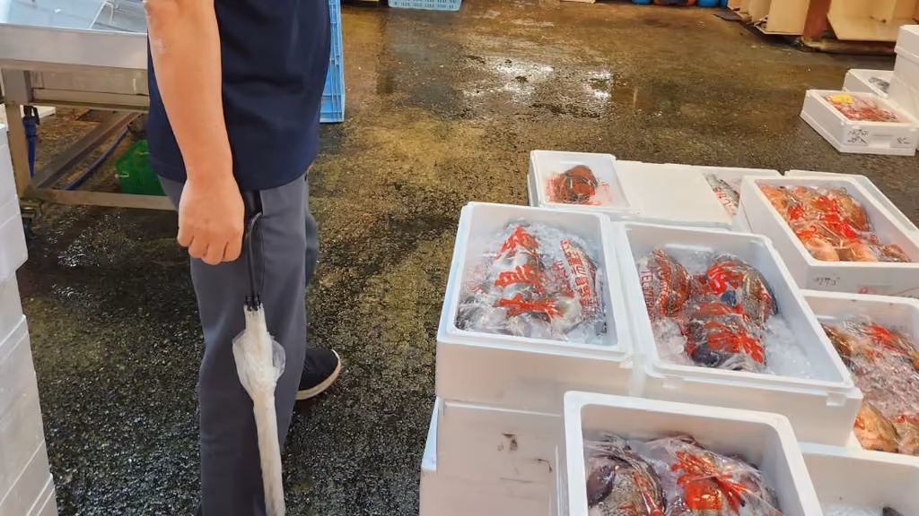 金沢の市場で、箱に並んだ魚を見て回る様子